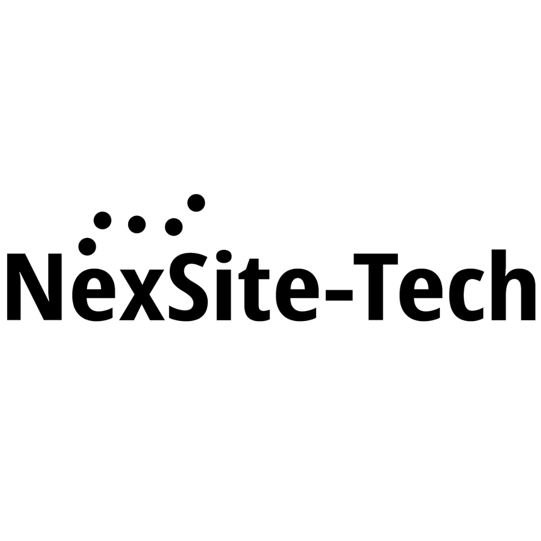 NexSiteTech Logo